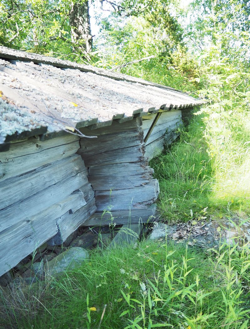 Avaa kuva isommaksi P6280922_L.