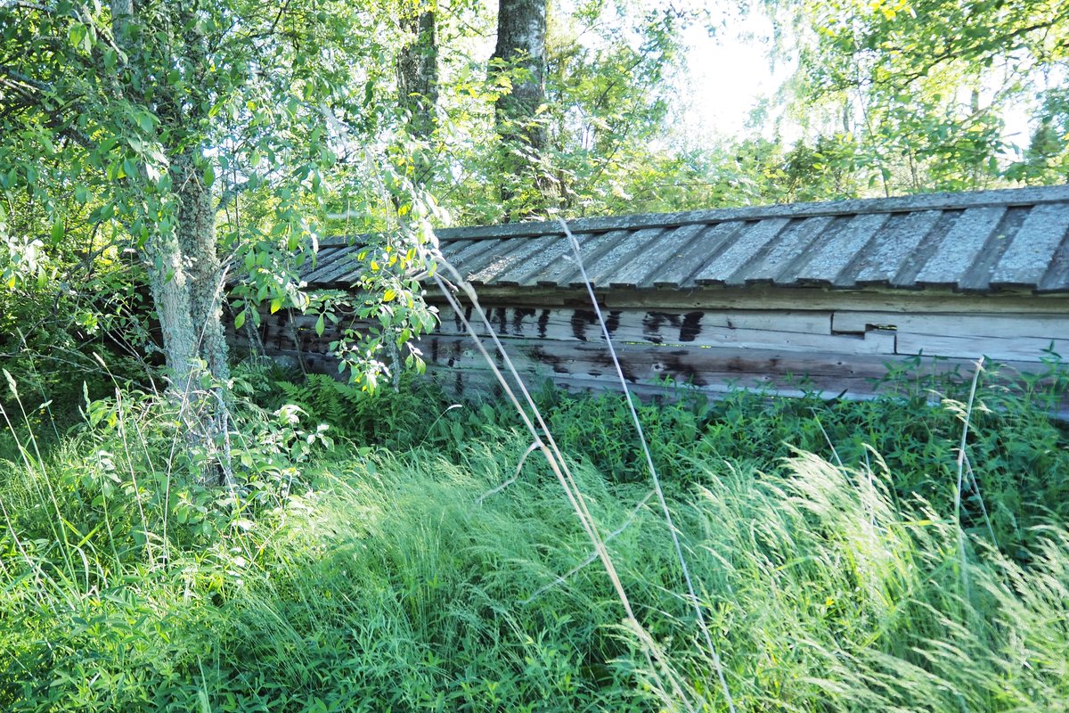 Avaa kuva isommaksi P6280926_L.